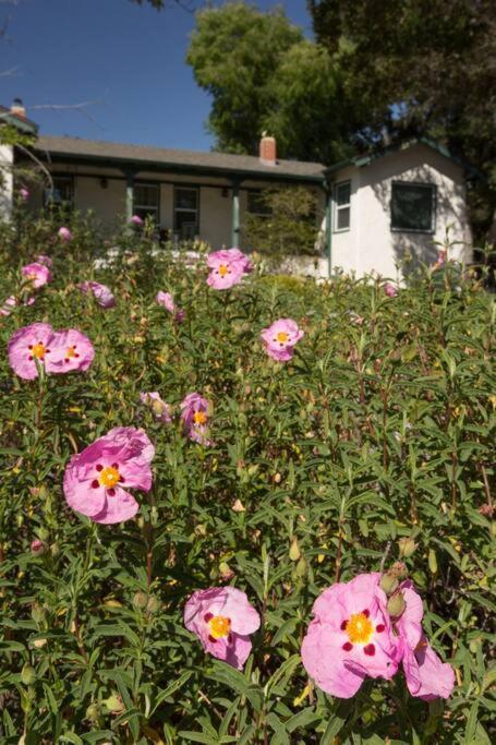 Wine Country Bungalow อทาสคาเดโร ภายนอก รูปภาพ